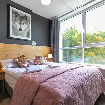 Apartment Kurort Kozubnik - Kiczora Nad Strumykiem - Dream Porabka