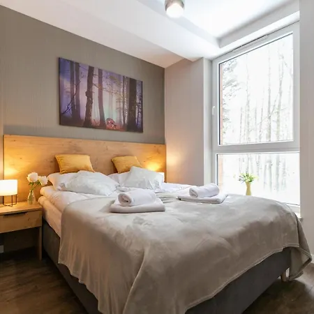 Apartment Kurort Kozubnik - Kiczora Nad Strumykiem - Dream *