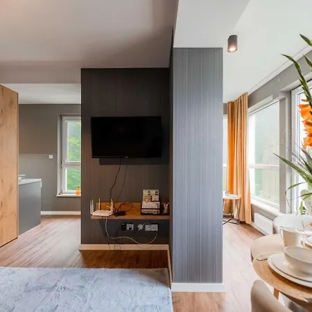 Kurort Kozubnik - Kiczora Nad Strumykiem - Dream Apartment *