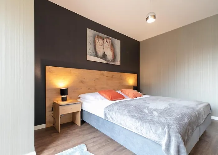 Kurort Kozubnik - Kiczora Nad Strumykiem - Dream