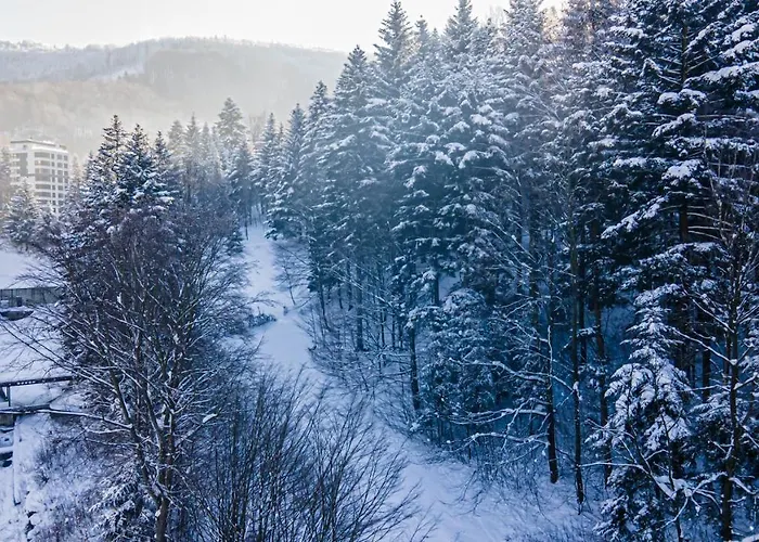 Daire Kurort Kozubnik - Kiczora Nad Strumykiem - Dream