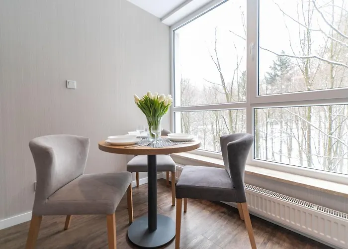 Kurort Kozubnik - Kiczora Nad Strumykiem - Dream Apartamento *