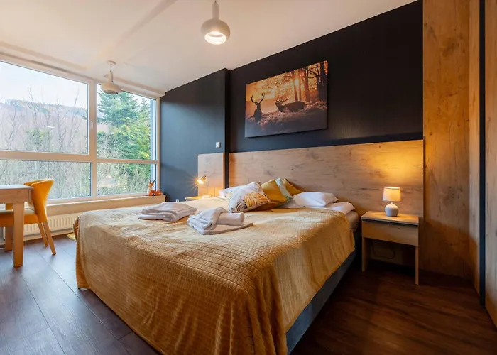 Kurort Kozubnik - Kiczora Nad Strumykiem - Dream *